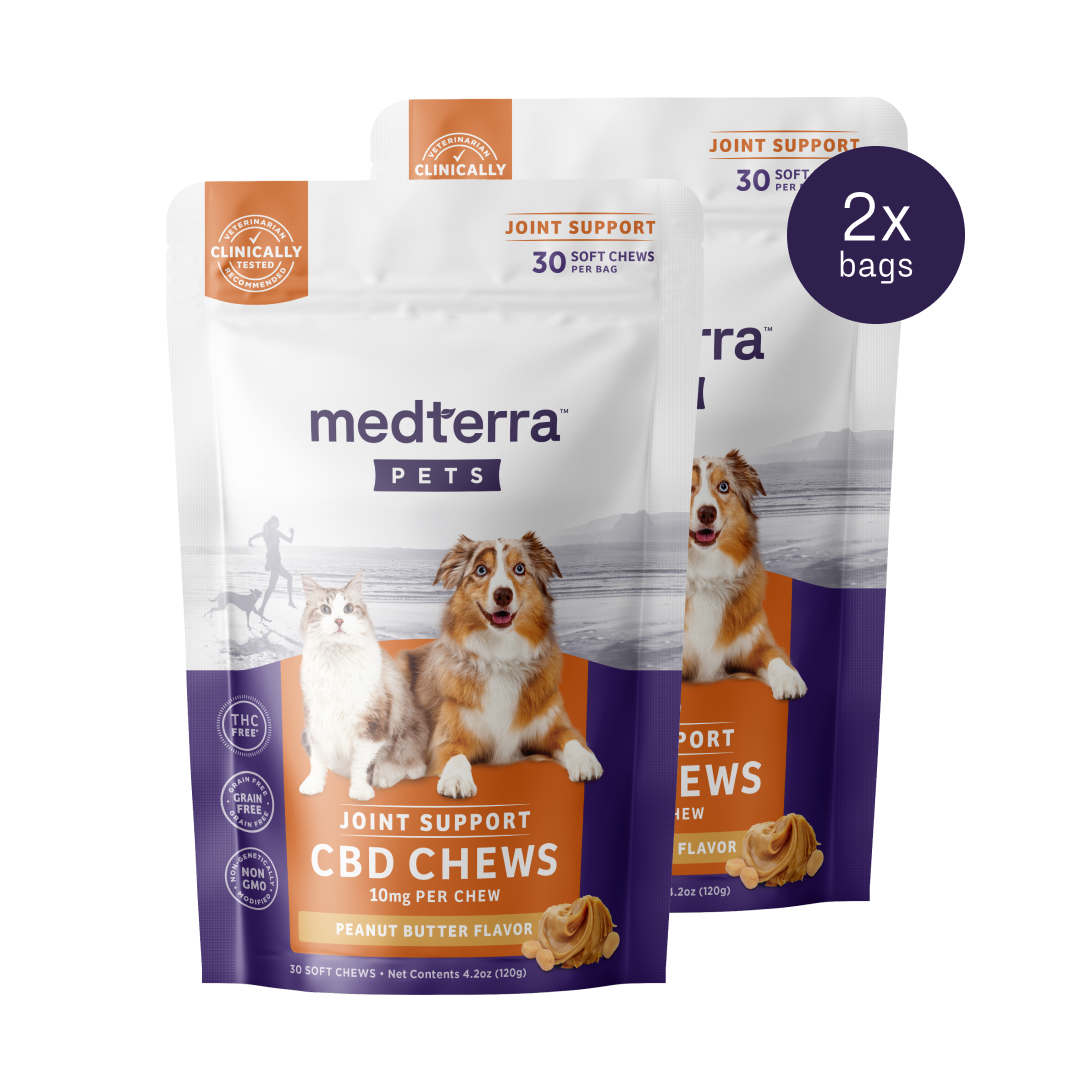 medterra PETS CBD CHEWS JOINT SUPPORT 30 SOFT CHEWS 10mg PER CHEW PEANUT BUTTER FLAVOR 2x bags