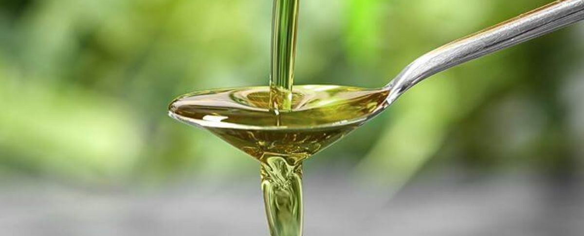 A spoonful of golden hemp oil against a blurred green background