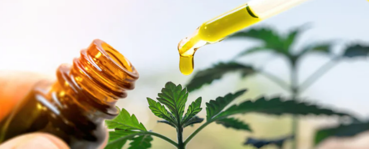 A dropper dispensing oil over a cannabis plant, representing adaptogens and CBD.