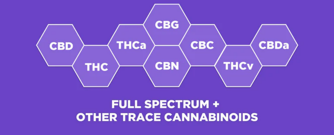 Graphic showing cannabinoid hexagons labeled CBD, THC, CBG, CBN, CBC, THCa, THCv, CBDa with headline ‘FULL SPECTRUM + OTHER TRACE CANNABINOIDS’