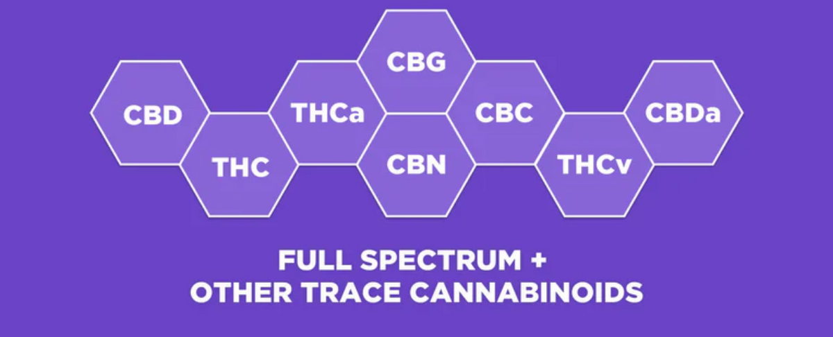 Graphic showing cannabinoid hexagons labeled CBD, THC, CBG, CBN, CBC, THCa, THCv, CBDa with headline ‘FULL SPECTRUM + OTHER TRACE CANNABINOIDS’