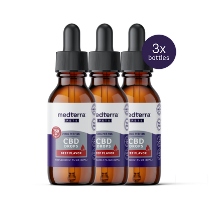 Three 30 mL amber glass bottles of Medterra's Pet CBD Drops in beef flavor, each with a dropper. Ideal for joint health and general wellness, labeled with CBD concentration. This value bundle includes three bottles.