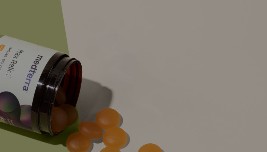 Medterra supplement bottle on its side with round orange gummies spilled; label reads 'medterra' and 'Max Relief'.