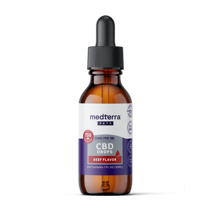 A brown dropper bottle labeled "Medterra Daily Relief Pet CBD Tincture," containing 750mg of CBD in a 30ml bottle with a black cap. The label shows pet icons and product info, formulated to support joint health in pets.