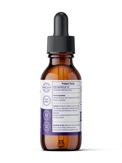 The Medterra Daily Relief Pet CBD Tincture comes in an amber glass dropper bottle with a black cap and a white-purple label showing supplement facts, ingredients, and usage instructions to support joint health in pets.