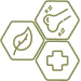 Three hexagons containing a leaf, a chemical structure, and a medical cross symbolizing chondroitin's natural source, chemical composition, and health benefits