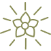 Stylized flower with radiating lines representing energy blend