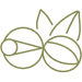 Stylized guarana fruit with two leaves in olive green line art