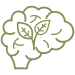 Brain with a leaf symbol representing natural L-theanine supplement