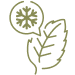 Green leaf with a small square containing a snowflake symbol above it, representing menthol.