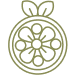Stylized green line drawing of an orange slice with leaves, representing Vitamin C