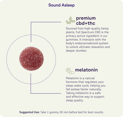 The Medterra Sleep Discovery Kit is shown with descriptions highlighting its THC-free formula, featuring premium CBD and melatonin. Take one gummy 30 minutes before bed to support natural relaxation and restful sleep.